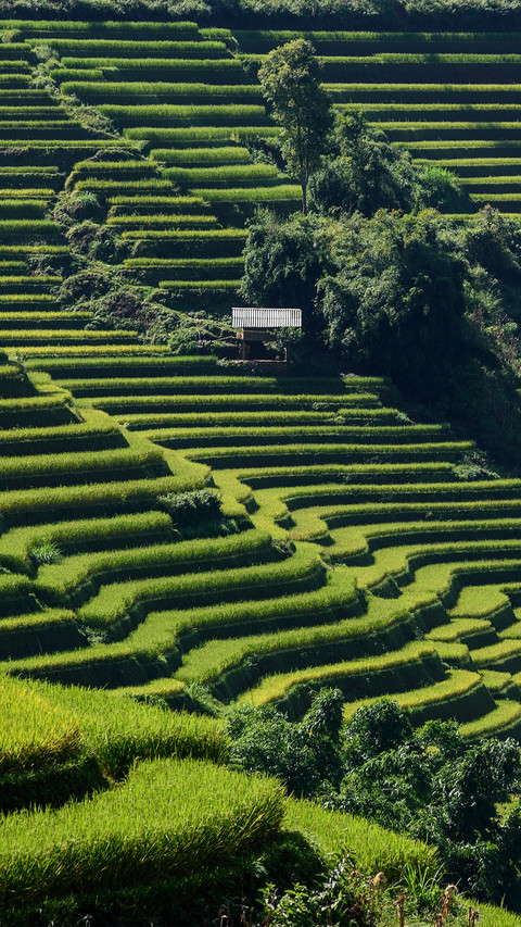 Beautiful Terraces screenshot