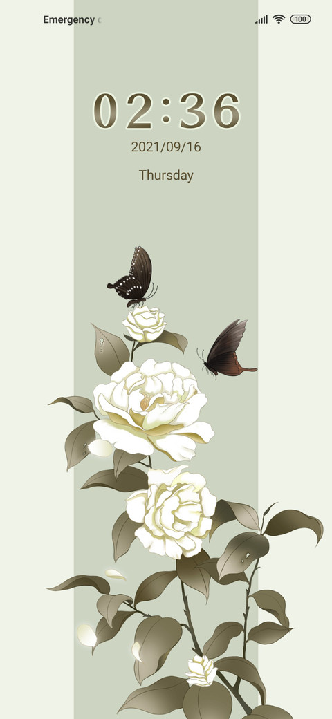Camellia opened screenshot