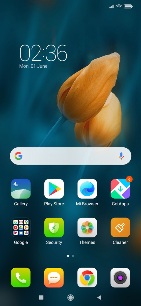 Gold Flowers NY screenshot