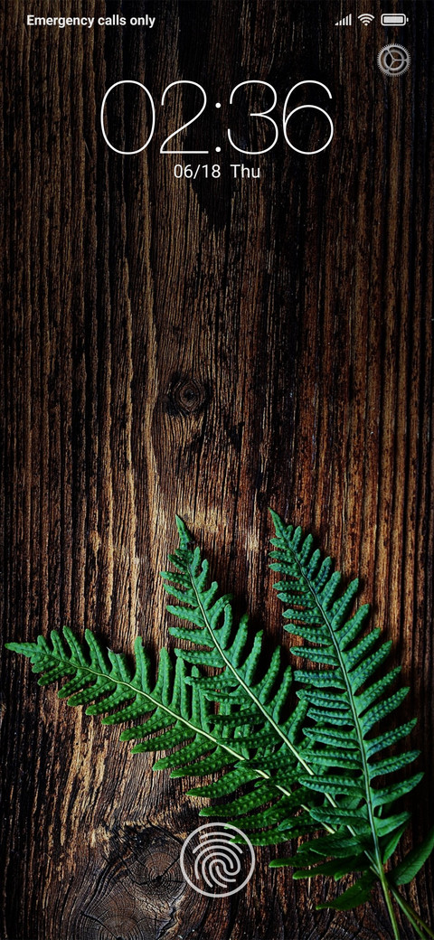 Fern screenshot
