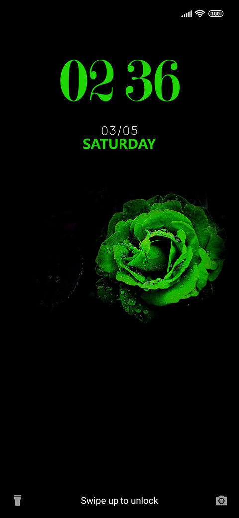 Green Rose screenshot