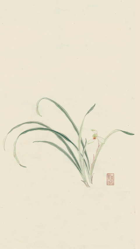 何红玉笔下的兰花 screenshot