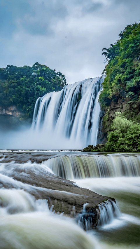 Its difficult for migratory birds to provide for the elderly screenshot