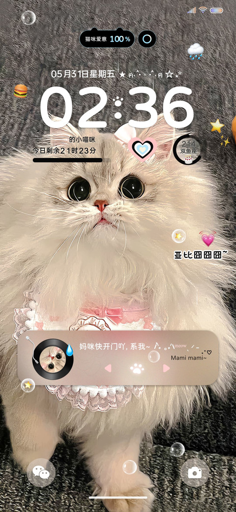 笨蛋小猫 快开门吖 screenshot