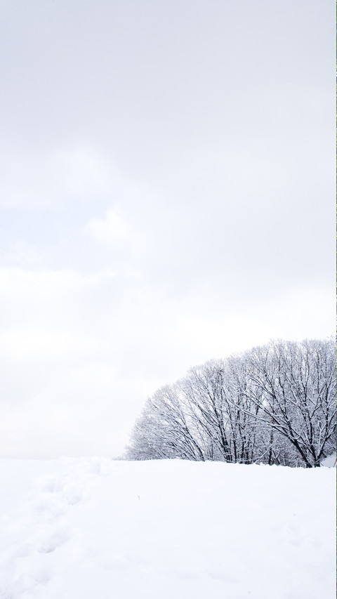 北国雪景-顶晟科技 screenshot