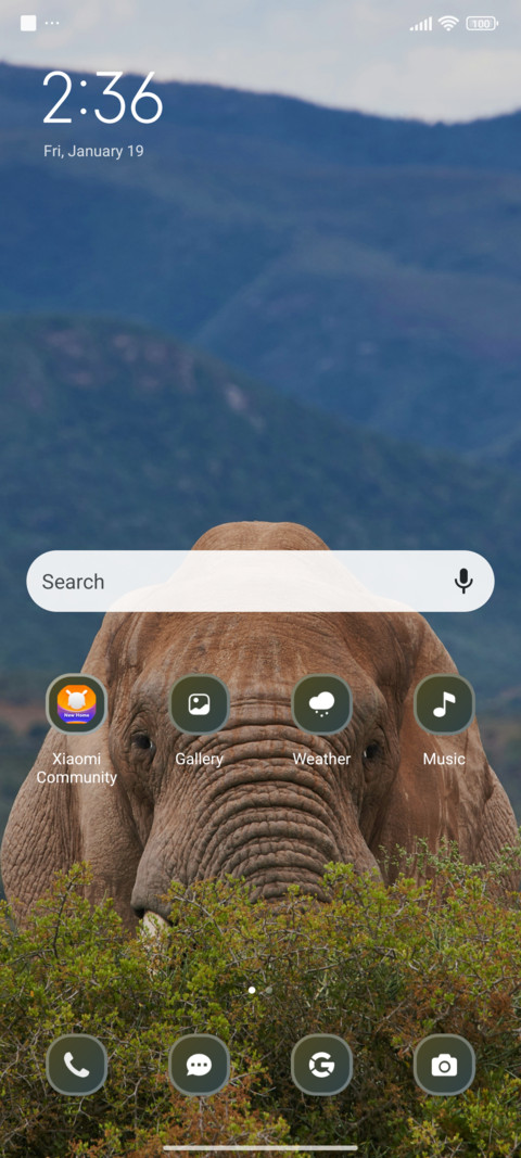 Elephant screenshot