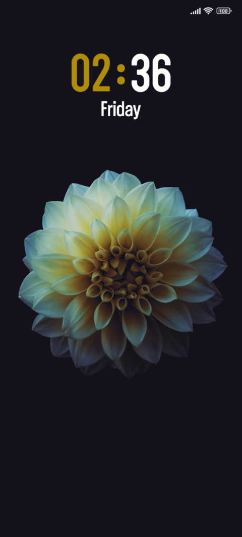 White Flower screenshot