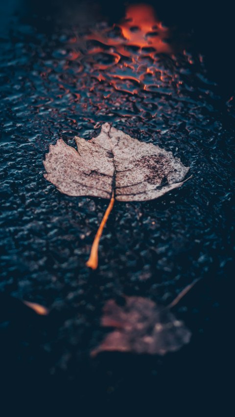 Rain Rhythm (7) screenshot