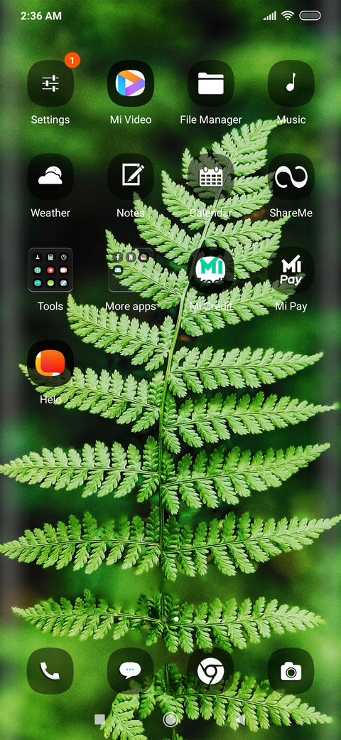 Plants tri screenshot