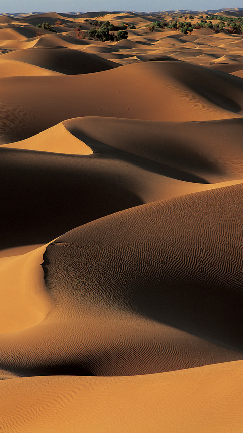 desert screenshot