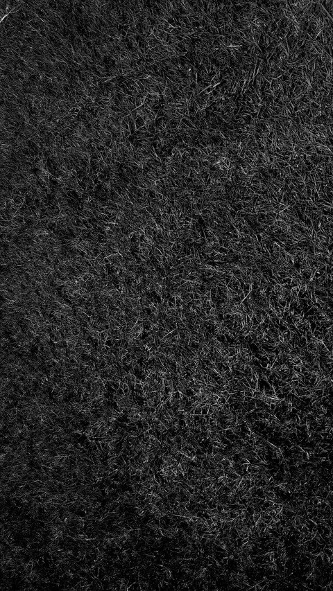 landing-2093 screenshot