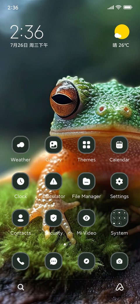 Frog screenshot