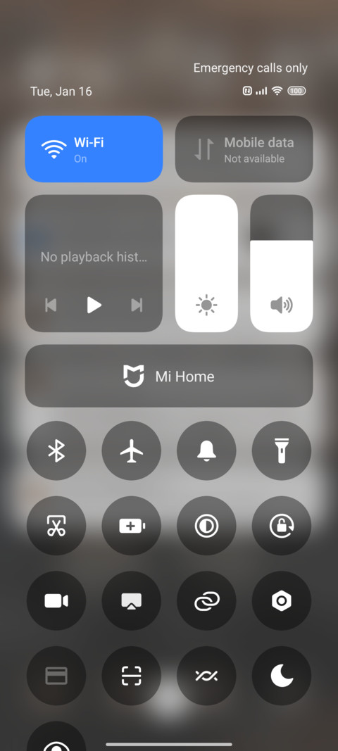 Bear bear is soft screenshot