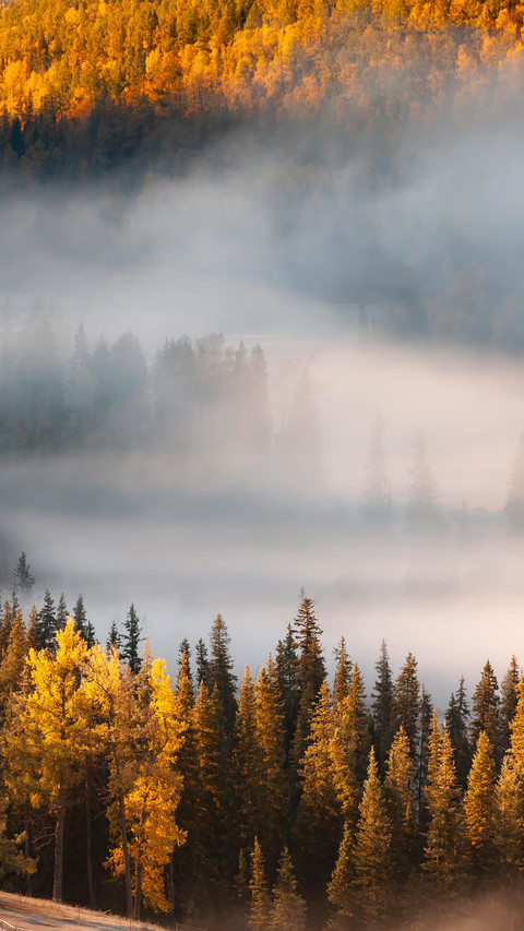 Autumn Scenery Filled with Morning Fog in Kanas screenshot