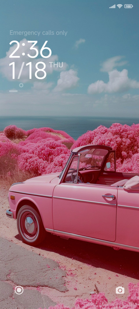 PurePink screenshot