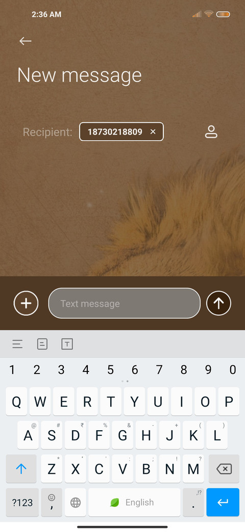 Desert lions screenshot