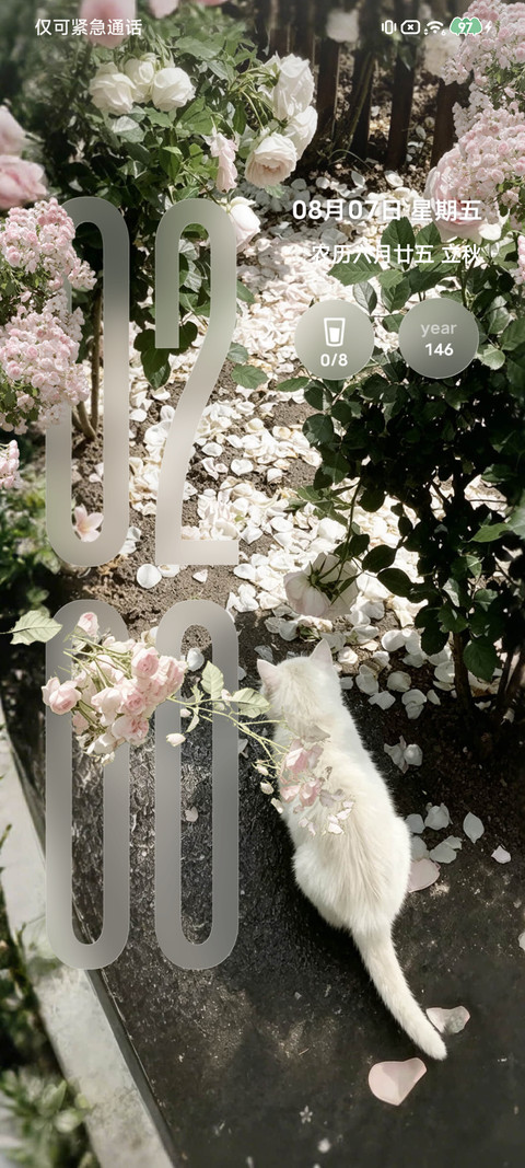 春野有猫 繁花为伴 screenshot
