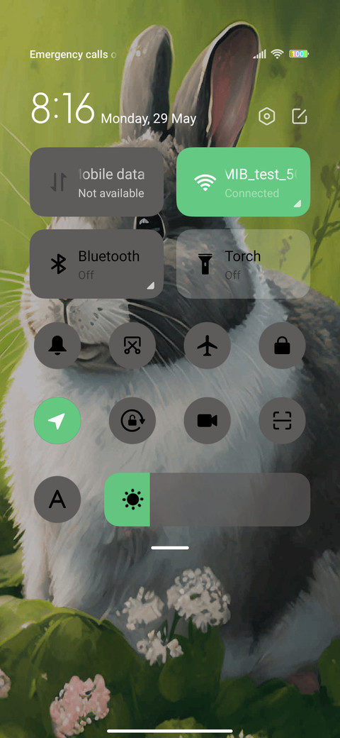 Foraging rabbit screenshot