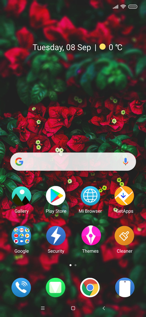 Flowers_DWM20 screenshot