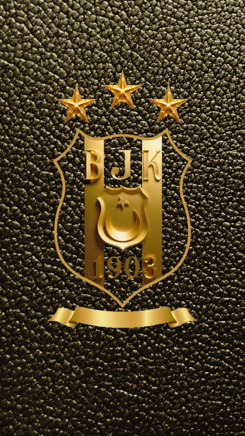 BJK-13 screenshot