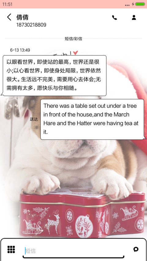 圣诞萌宠 screenshot
