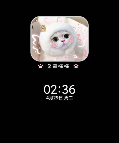 做你的猫署名自定义 screenshot