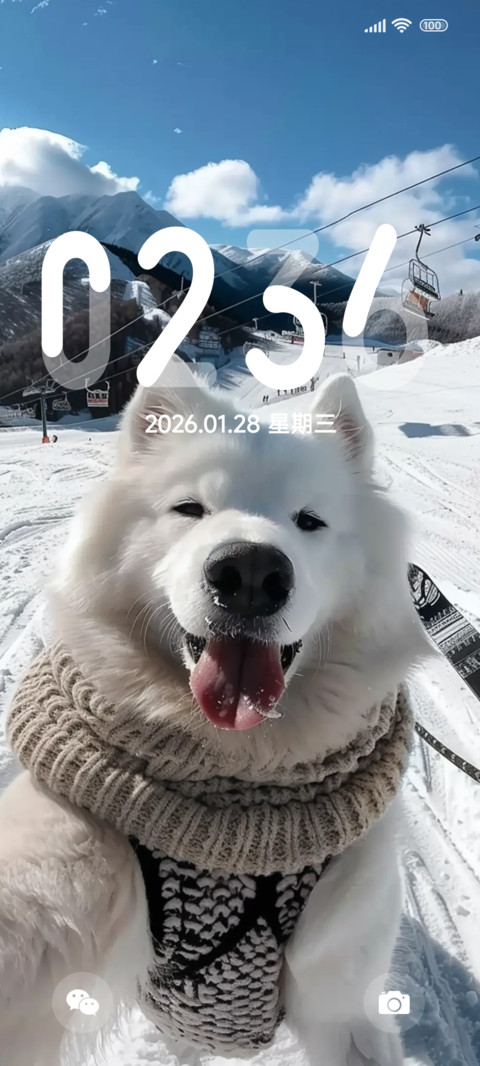 冬季滑雪小狗 screenshot