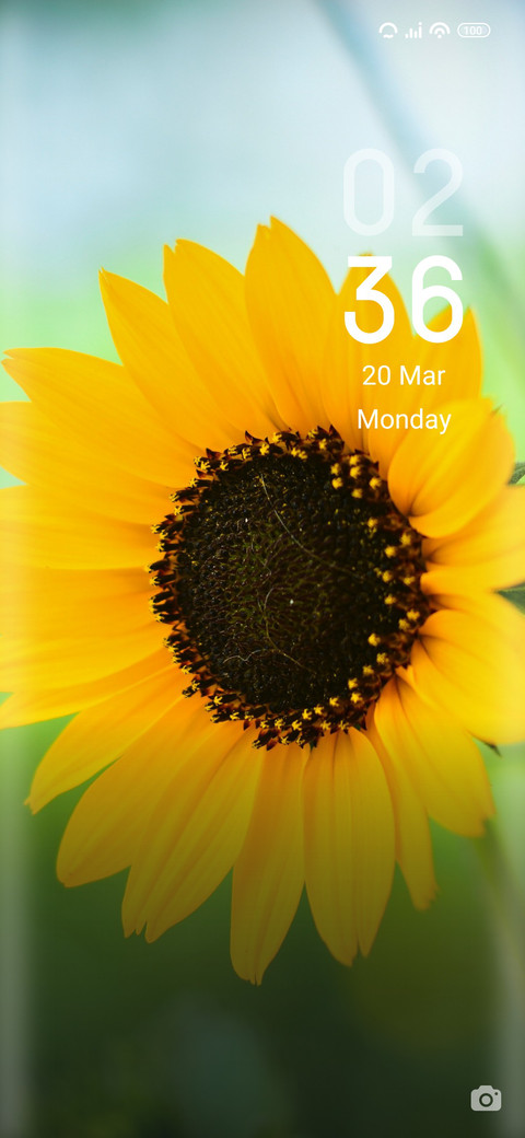 Sunray screenshot