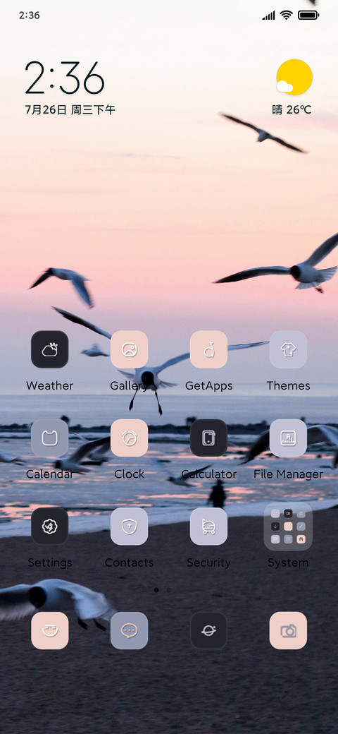 Seagull screenshot