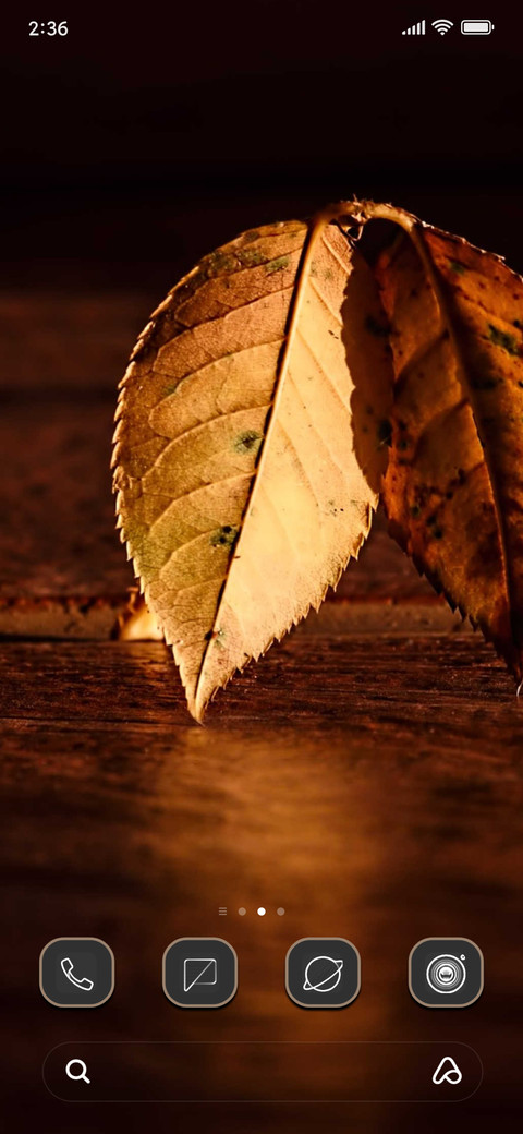Dark Brown Blush screenshot