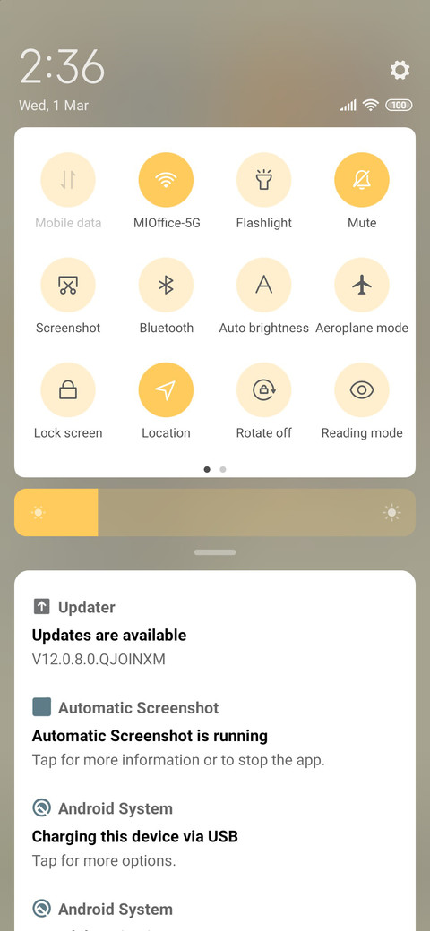 Working chicken screenshot