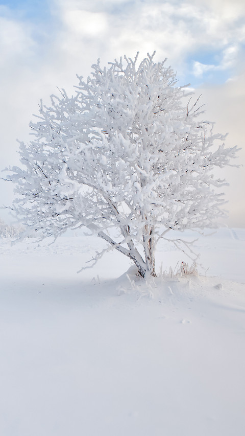 雪 -视觉中国 screenshot