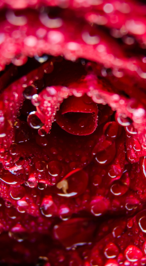 Droplets (37) screenshot
