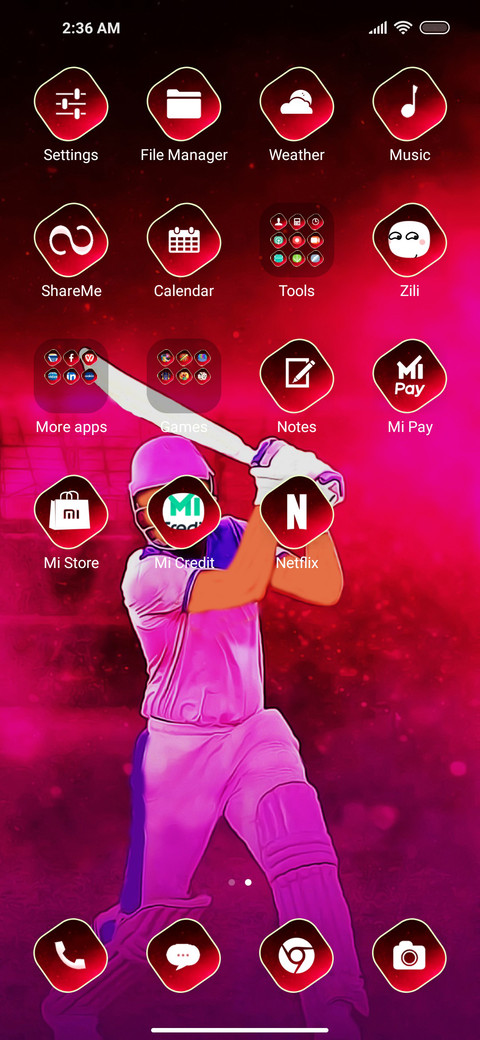 Cricket Qx screenshot