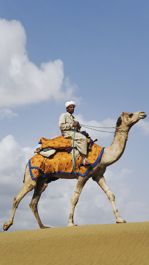 India-camel screenshot