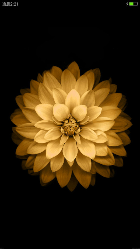 iOS Gold screenshot
