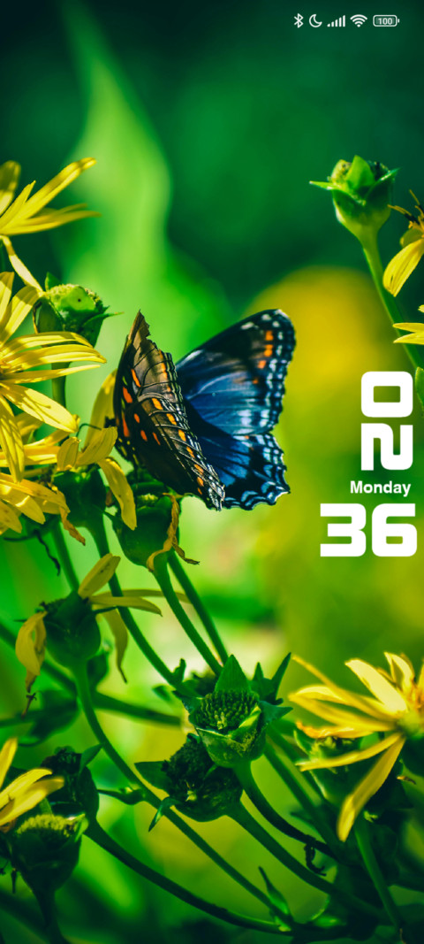 Butterfly screenshot