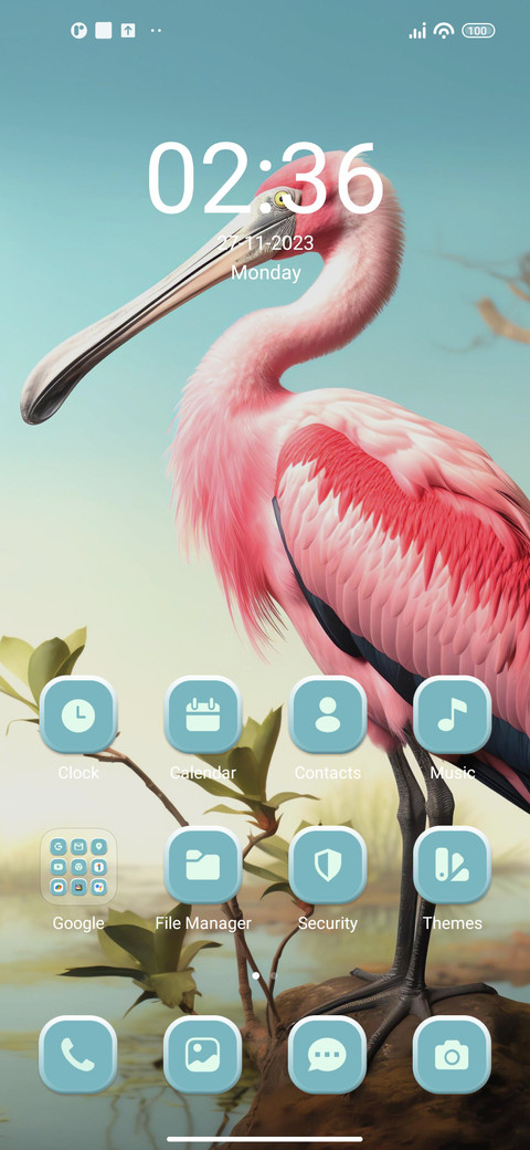 Bird screenshot