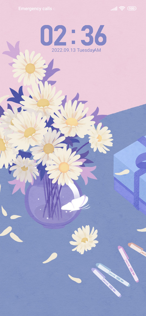 Daisies for you screenshot