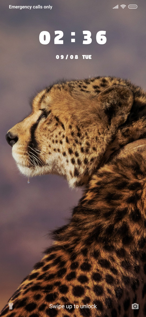 Leopard_3MDS screenshot
