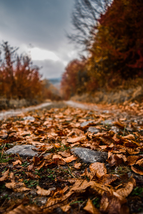 Motion Blur screenshot