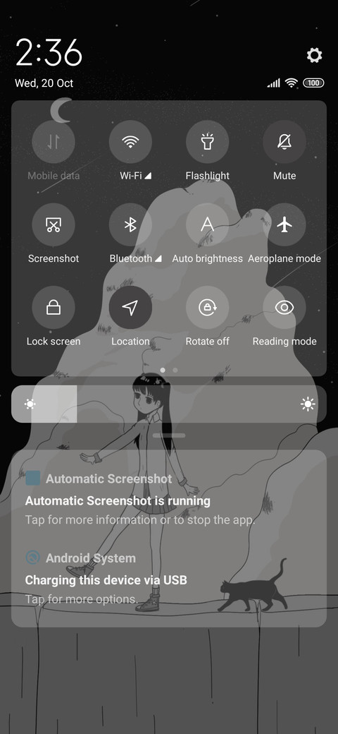 Night white screenshot