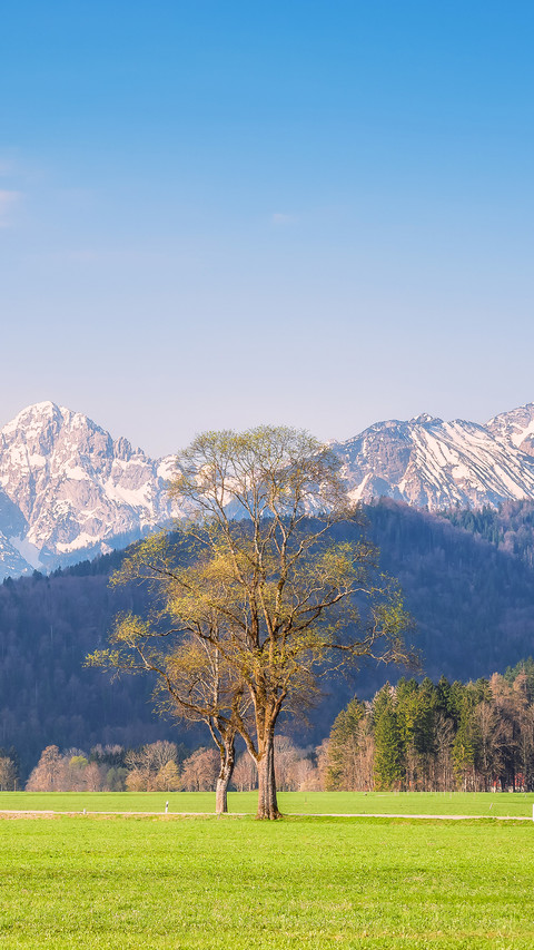 Fine spring landscape with a road along beautiful mountains screenshot
