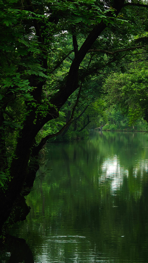 Late spring in xixi screenshot