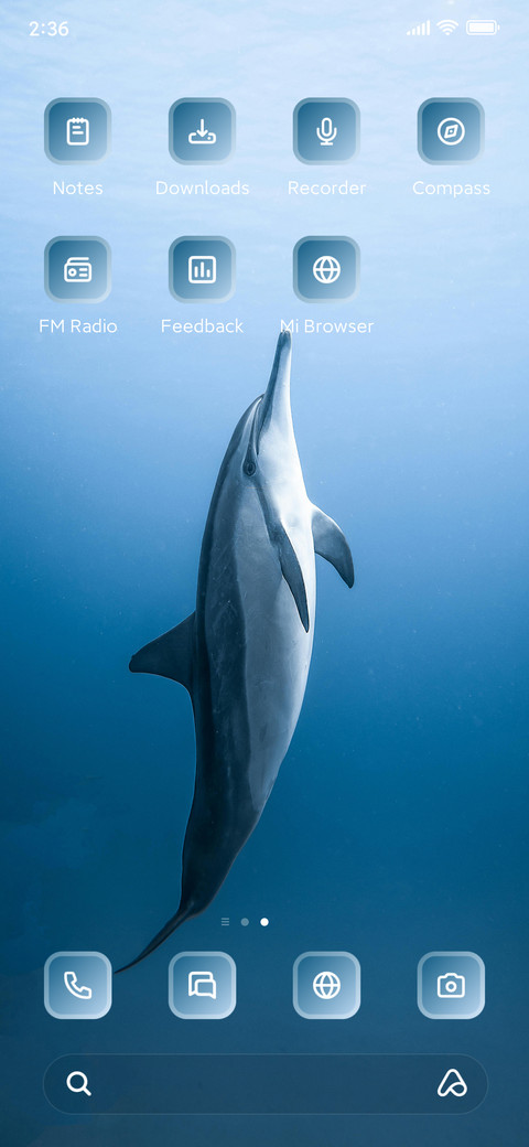 Dolphin screenshot