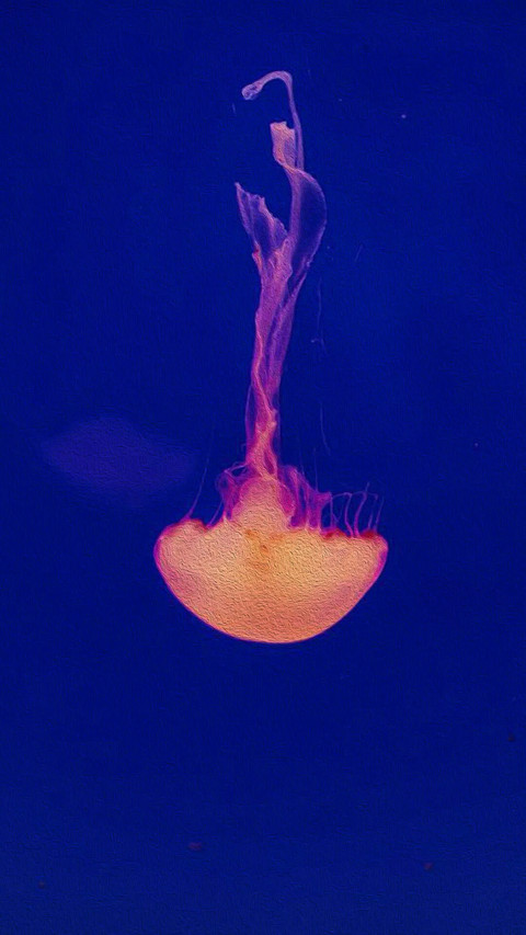 水母1 screenshot