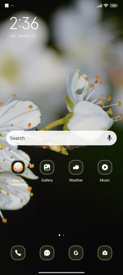 White Leaf screenshot
