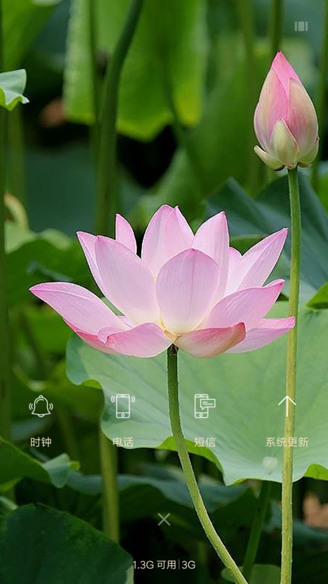 爱莲说 screenshot