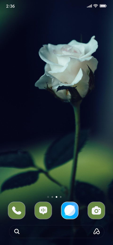 Delicate White screenshot