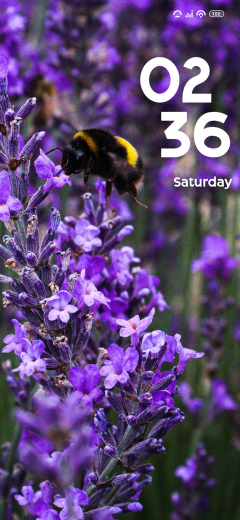 Bee screenshot